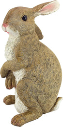 Design Toscano QM200681 Hopper the Bunny Standing Rabbit Indoor/Outdoor Garden Statue, 6 Inches Wide, 11 Inches Tall, Handcast Polyresin, Full Color Finish by GreenHaven Gardens