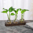 YIBOT Propagation Stations,Plant Propagation Vase,Desk Plant Terrarium with Retro Wooden Stand,Plant Lover Gifts for Women for Hydroponics Plants Home Garden Wedding Decor(3 Vase) by GreenHaven Gardens