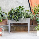 Metal Raised Garden Bed,Raised Planter Box with Legs,Herbs and Vegetables Planter Suitable for Outdoor Patio Deck and Porch (Mini Gray) by GreenHaven Gardens