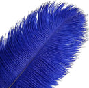 THARAHT Blue Ostrich Feathers 12pcs Large Natural Bulk 14-16Inch 35cm-40cm for Wedding Party Centerpieces Halloween and Home Decoration Feathers by CozyNest Decor