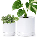 D'vine Dev 4.7 Inch & 6 Inch Ceramic Planter Pots for Plants with Drainage Hole and Saucer, Small Plant Pots Set, White, 94-G-S-1 by GreenHaven Gardens