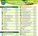 75 Vegetable & Greens Seeds Variety Pack, Garden Seed Starter Kit - Over 44,700 Non-GMO Heirloom Seeds for Planting Vegetables and Greens, Seeds Gift Seed Box with Gardening Supplies, Survival Kit by GreenHaven Gardens