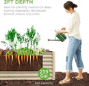 Best Choice Products 8x2x2ft Outdoor Metal Raised Garden Bed, Rectangular Deep Root Planter Box for Vegetables, Flowers, Herbs, and Succulents w/ 239 Gallon Capacity - Beige by GreenHaven Gardens