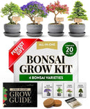 HOME GROWN Bonsai Tree Kit – Easy to Grow 4 Species of Bonsai w/Our Complete Plant Kit: Bonsai Pots & Peat Pellets Including a Bonus in-Depth Grow Guide - Great Gardening Gifts for Women and Men by GreenHaven Gardens