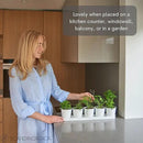 SCANDINORDICA White Herb Planter 5 Pots with Drainage Holes and Tray, Windowsill Planter, Indoor/Outdoor Herb Pots by GreenHaven Gardens