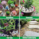 Rocks for Plants 5 Lbs, 0.8-1.5 Inch High Polished Pebbels, Decorative Stones for Garden Landscaping, Smooth Gravel Filler for Outdoor Plants, Succulents, Fish Tank and Vases by GreenHaven Gardens