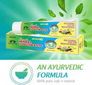 Jagat Devsutra Dr. Recommended Ayurvedic Herbal Fresh Mint Flavour Toothpaste Combo Pack Offer - 100% Natural Teeth Whitening Formula, No Fluoride & No Artificial Colours - Pack of 2 (4.4 OZ Each) by CozyNest Decor