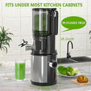 Cold Press Juicer – 6.5" Extra Large Feed Chute Fit Hands-Free Electric Masticating Juicer Machine, 350W Slow Masticating Juicer Machine for Whole Fruit and Vegetables – Easy Cleanup & Assembly by CozyNest Decor