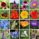 Bulk Wildflower Seed Mix – Honey Bee Wildflower Seed Mix 1 Pound Tub by GevaGrow | Bulk 300,000+ Seed Tub | 19 Variety Flower Seeds for Planting in Pots & Outdoor Gardens | No Messy Bags or Packets | by GreenHaven Gardens