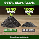 HOME GROWN Peppermint Seeds 2 Pack (Mentha × piperita) – 4,740 Heirloom Mint Seeds for Planting – 𝗡𝗢𝗡-𝗚𝗠𝗢, 𝗨𝗦𝗔-𝗦𝗢𝗨𝗥𝗖𝗘𝗗 – Grow Indoors or Outdoors, Kitchen Herb Garden Favorite by GreenHaven Gardens