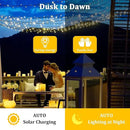 2-Pack 200FT Solar String Lights for Outside, 600 LED Extra-Bright Solar Light Outdoor with 19 Modes & Timer, Waterproof Fairy Solar Lights for Garden Patio Tree Christmas Decorations (Warm White) by GreenHaven Gardens
