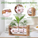 Lifecapido Heart Shaped Propagation Stations, Plant Terrarium with Wooden Stand, Plant Propagation Station for Hydroponics Plants Office Garden Home Decor, Gifts for Women Plant Lover (3 Vases, Pink) by GreenHaven Gardens