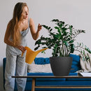 WOUSIWER 10 inch Self Watering Planters, 2 Pack Large Plastic Plant Pots with Deep Reservior and High Drainage Holes for Indoor Outdoor Plants and Flowers, Black by GreenHaven Gardens
