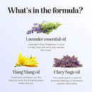 Sleep Essential Oil Blend for Diffuser - Dream Essential Oils for Diffusers Aromatherapy and Relaxation with Clary Sage Ylang-Ylang Roman Chamomile and Lavender for Sleep Time Support (10mL) by CozyNest Decor