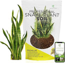 Professional Snake Plant Soil | Large 2.2 Quarts Ready to Use for Snake Plants | Peat Moss, Coco Coir, Perlite, Dolomite | Made in USA by GreenHaven Gardens