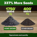 HOME GROWN 𝗨𝗦𝗔 𝗣𝗥𝗘𝗠𝗜𝗨𝗠 Genovese Basil Seeds Pack 1,750+ High Germination 𝗡𝗢𝗡-𝗚𝗠𝗢 Heirloom Seeds (Ocimum basilicum) Herb Seeds for Planting Indoor & Outdoor Gardening, for Culinary Use by GreenHaven Gardens