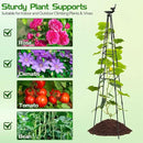 2 Pack Garden Obelisk Trellis for Climbing Plants | 79 Inches Tall Rustproof Metal Plant Support Trellis | Adjustable Garden Tower Trellis for Indoor Outdoor Vines Vegetables Flowers by GreenHaven Gardens