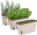 Amazing Creation Window Herb Planter Box, Vibrant Window Herb Garden, Self-Watering Rectangular Planter for Kitchen, Plants, and Succulents - Set of 3 by GreenHaven Gardens