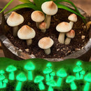 Taiyin 20 Pcs Luminous Mushroom Miniature Garden Mushrooms Outdoor Decor Waterproof Glow in The Dark Yard Decor for Fairy Outdoor Garden Micro Landscape Christmas Tree Decor by GreenHaven Gardens