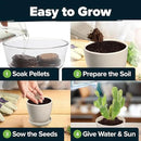 HOME GROWN Succulent & Cactus Seed Kit for Planting – [Enthusiasts Favorites] Premium Cactus & Succulent Starter Kit: 4 Planters, Drip Trays, Markers, Seeds Mix, Soil - DIY Gift Kits by GreenHaven Gardens