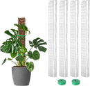 EOX 4 Pcs 24 Inch Plastic Moss Pole for Monstera, Large D Shaped Poles for Climbing Plants Work with Sphagnum Moss, 90 Inch Plant Stake Set of 4, Garden Ties by GreenHaven Gardens