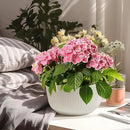 T4U 12 Inch Large Self Watering Plant Pots, Wide Self Watering Planter with Drainage Hole, Large Plant Pots Flower Pot for Plants, Set of 2, White by GreenHaven Gardens