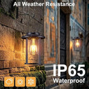 Solar Lantern Outdoor,Hanging Solar Lights Waterproof,Outdoor Wall Light Fixtures wiht Bulb,Outside Porch Lights Wall Mount for Front Garage Chicken Coop Farmhouse,2 Pack by CozyNest Decor