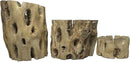 3 Natural Cholla Wood Air Plant Display Holders Tiered 1, 2 & 3 inch Individually Unique Round Decorative Stands by GreenHaven Gardens