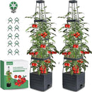 MQFORU 2 Packs Raised Garden Bed Tomato Planter with Trellis, 57" Tomato Cages for Climbing Vegetables Plant, Self Watering Planters Box for Garden Pots for Patio Greenhouse Indoor Outdoor（2PCS） by GreenHaven Gardens