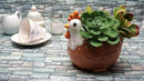 Chicken Planter - Rooster Utensil Holder Party Accessories - Flower Succulent Pot - Indoor Outdoor Garden Backyard Patio Chicken Theme Ceramic by GreenHaven Gardens