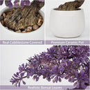 Purple Artificial Bonsai Tree Juniper Faux Plants Indoor Fake Plants Decor with Ceramic Pots for Home Table Office Desk Bathroom Shelf Bedroom Living Room Farmhouse Decorations by GreenHaven Gardens