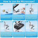 Microscope for Adults Kids, 40X-2000X Microscope Kit with Adjustable Brightness LED, Slides, Biological Compound Microscopes for School Lab Home Education, Gifts for Children Students by TinyTreasures Baby Boutique