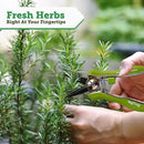 VegTrug 8 Pocket Herb Garden, Wooden Herb Planter with Herb Snips, Gray Wash by GreenHaven Gardens