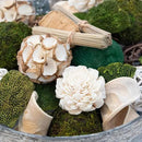 ANDALUCA Decorative Moss Balls Natural Bowl Filler Home Decor (Green Moss) by CozyNest Decor