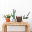 Handwoven Wicker Planter Basket with Waterproof Liner – Natural Yellow Decorative Flower Pot Holder for Indoor Use - Small Size (Inner Top Ø 7", Inner Height 5.9") by CozyNest Decor
