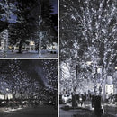 2-Pack 66FT 200 LED Extendable White Christmas String Lights (Green Wire), Christmas Tree Lights with 8 Modes, Indoor Outdoor Plug in Fairy String Lights for Xmas Decor Party Garden (Cool White) by GreenHaven Gardens