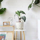 Gepege 10 Inch Plant Pot, Creamy White Ceramic Planter with Drainage Holes and Saucers for Plants Indoor and Outdoor Flower Pot by GreenHaven Gardens