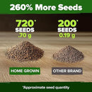 HOME GROWN Culantro Seeds - 720+ 𝗡𝗢𝗡-𝗚𝗠𝗢, 𝗨𝗦𝗔-𝗦𝗢𝗨𝗥𝗖𝗘𝗗 Heirloom Herb Seeds for Planting, Slow-Bolting, Flavorful Cilantro Alternative, Great for Outdoor Herb Gardens (Eryngium foetidum) by GreenHaven Gardens