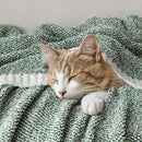 MIULEE Green Super Soft Throw Blanket for Bed, Twin Size Cozy Fluffy Warm Blankets Knit Blankets for Couch, Sofa, Chair, Living Room, Camping, Picnic, 60 x 80 inch by CozyNest Decor