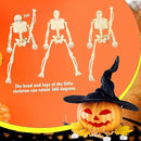 30 Pcs Halloween Mini Skeleton Figurine Decoration 6" Full Body Small Posable Skeletons Plastic Bones with Movable Joints Skeleton Figure for Halloween Garden Graveyard Haunted House Party Decor by CozyNest Decor