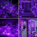 JMEXSUSS 2 Pack Purple Solar Christmas Lights, 33ft 100 LED Purple Solar Lights Outdoor, Waterproof 8 Modes Purple Fairy Lights for Outside Tree Garden Patio Christmas Halloween Decorations by GreenHaven Gardens