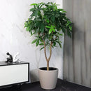 Dexceder 13x12 Self Watering Planter with Wheels Indoor Outdoor, Inner Pot Design, Thickened Large Floor Standing Flower Plant Pot with Water Level Indicator (Taupe Matte) by CozyNest Decor