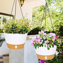 QCQHDU 2 Pack Hanging Planters for Indoor Outdoor Plants, 8 Inch Hanging Baskets Flower Pots with Reservoir Tray & Visible Water-Level by CozyNest Decor