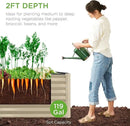 Best Choice Products 4x2x2ft Outdoor Metal Raised Garden Bed, Deep Root Planter Box for Vegetables, Flowers, Herbs, and Succulents w/ 119 Gallon Capacity - Beige by GreenHaven Gardens