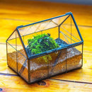 NCYP Mini Glass Terrarium with Lid - 6.1" x 4.25" x 4.92" House Shape Closed Planter Pot for Small Cactus, Succulents Plant - Home Garden Office Tabletop Geometric Decor, Black (Terrarium Only) by GreenHaven Gardens