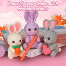ekaus Crochet Kit for Beginners, Crochet Kit with Step-by-Step Video Tutorials, Crochet DIY Knitting Supplies for Adults Kids, Crochet Rabbits(45%+ Yarn) by TinyTreasures Baby Boutique