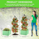 1Pack Raised Garden Beds Outdoor, Galvanized Metal Raised Garden Bed with Trellis, 16x16x60inch Tomato Cage Planters Box with Trellis for Climbing Plants Vegetable Vine Flowers by GreenHaven Gardens