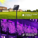 Purple Halloween Solar String Lights Outdoor, 2-Pack 80FT 200LED Solar Twinkle Light Waterproof, Copper Wire 8 Modes Purple Fairy Lights for Garden, Fence, Tree Decor, Halloween Decoration Outdoor by GreenHaven Gardens
