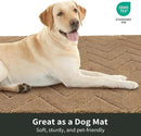 Stiio Dirt Trapper Door Mat 24x35.5 Inches, Front Doormat Indoor Outdoor Entrance Low Pile, All-Season, All-Weather Absorbent Entry Rug, Washable Non Slip Rug for Entryway, Brown by CozyNest Decor