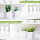 4 Inch Herb Planter Pot, Plastic Planter with Drainage Holes and Saucer, Modern Decorative Gardening Pot for Indoor Plants, Flowers, Herbs, Succulents, White, Set of 2, 76-Y-A-2 by GreenHaven Gardens